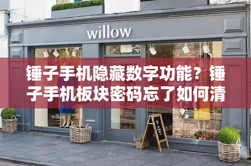 锤子手机隐藏数字功能？锤子手机板块密码忘了如何清除-第1张图片-星选测评