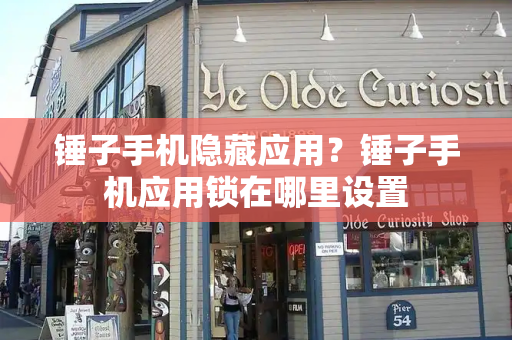 锤子手机隐藏应用？锤子手机应用锁在哪里设置