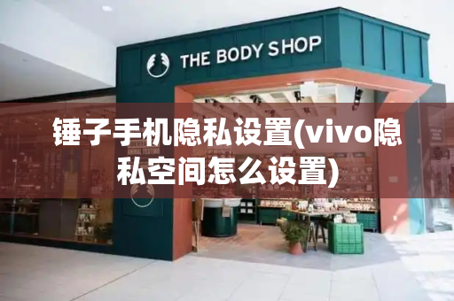 锤子手机隐私设置(vivo隐私空间怎么设置)-第1张图片-星选测评