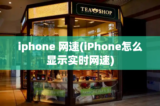 iphone 网速(iPhone怎么显示实时网速)-第1张图片-星选测评
