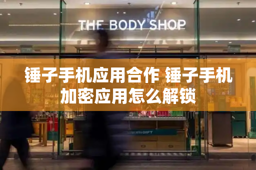 锤子手机应用合作 锤子手机加密应用怎么解锁-第1张图片-星选测评