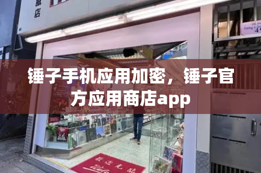 锤子手机应用加密，锤子官方应用商店app