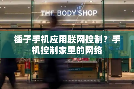锤子手机应用联网控制？手机控制家里的网络