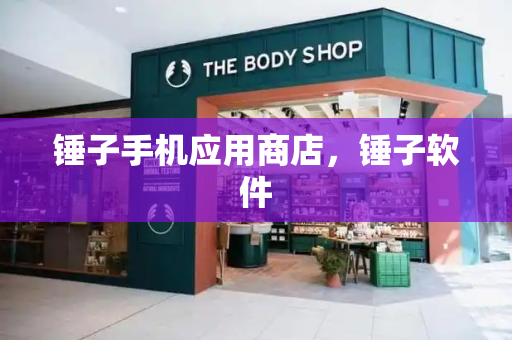 锤子手机应用商店，锤子软件