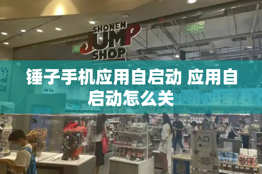 锤子手机应用自启动 应用自启动怎么关