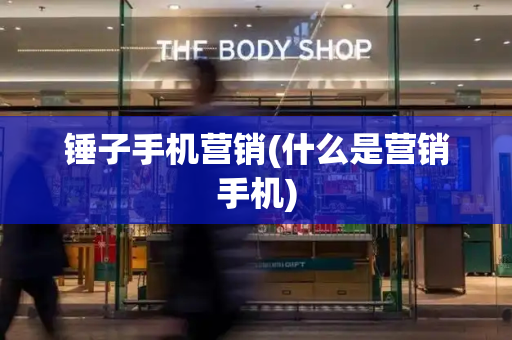 锤子手机营销(什么是营销手机)-第1张图片-星选测评