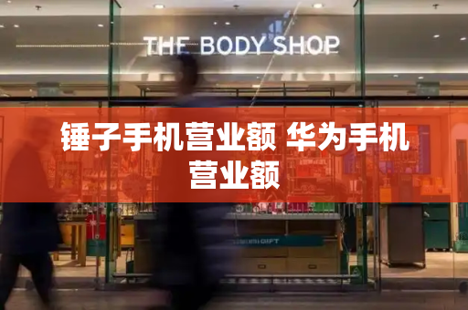 锤子手机营业额 华为手机营业额-第1张图片-星选测评