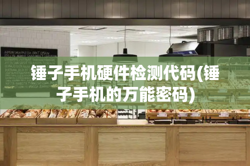 锤子手机硬件检测代码(锤子手机的万能密码)-第1张图片-星选测评