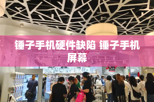锤子手机硬件缺陷 锤子手机屏幕