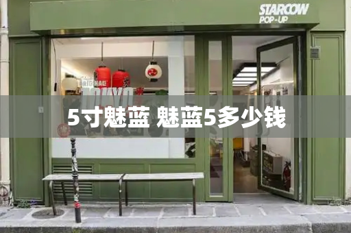5寸魅蓝 魅蓝5多少钱-第1张图片-星选测评