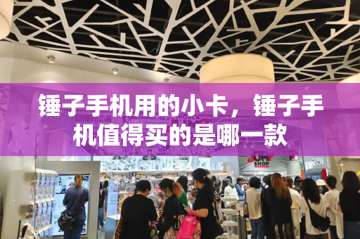 锤子手机用的小卡，锤子手机值得买的是哪一款