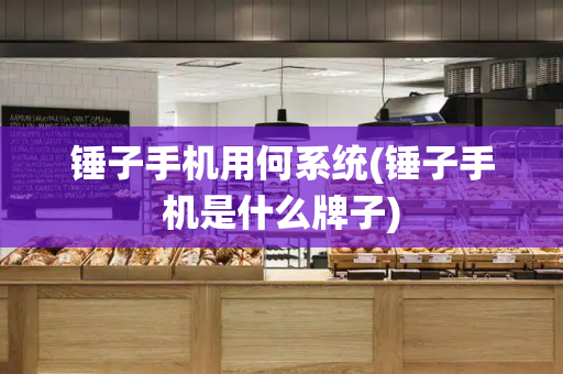 锤子手机用何系统(锤子手机是什么牌子)