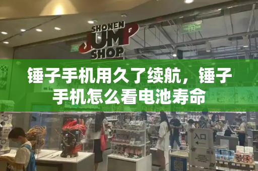 锤子手机用久了续航，锤子手机怎么看电池寿命-第1张图片-星选测评