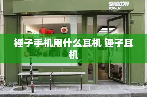 锤子手机用什么耳机 锤子耳机-第1张图片-星选测评