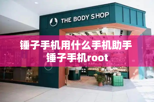 锤子手机用什么手机助手 锤子手机root-第1张图片-星选测评