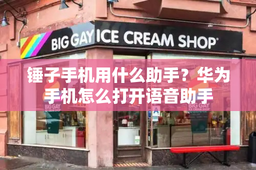 锤子手机用什么助手？华为手机怎么打开语音助手-第1张图片-星选测评