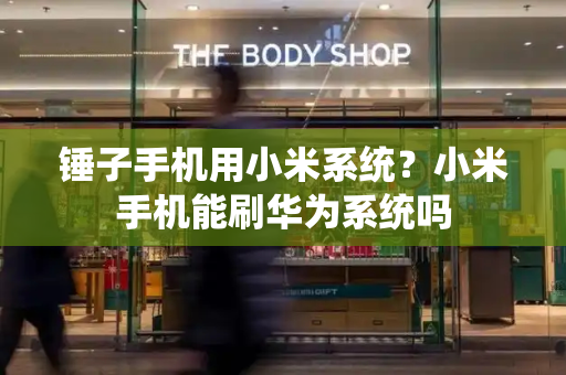 锤子手机用小米系统？小米手机能刷华为系统吗