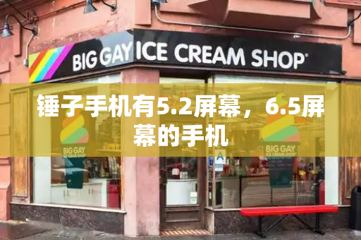 锤子手机有5.2屏幕，6.5屏幕的手机-第1张图片-星选测评