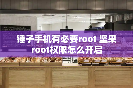 锤子手机有必要root 坚果root权限怎么开启