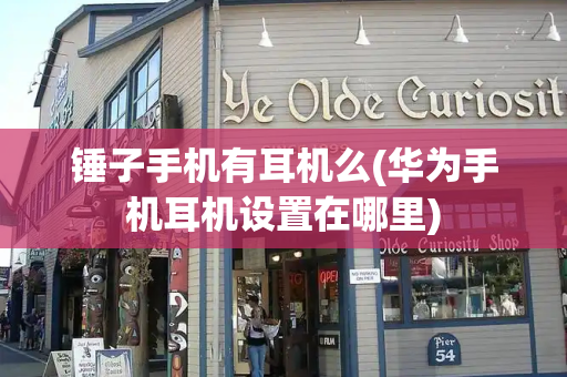 锤子手机有耳机么(华为手机耳机设置在哪里)-第1张图片-星选测评
