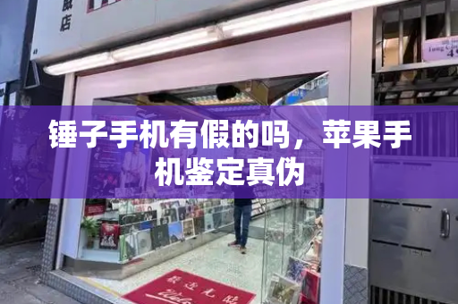 锤子手机有假的吗，苹果手机鉴定真伪