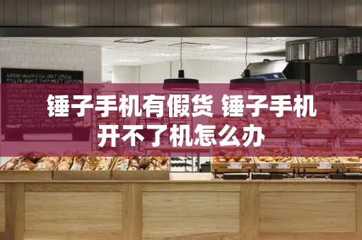 锤子手机有假货 锤子手机开不了机怎么办-第1张图片-星选测评
