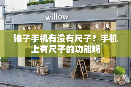 锤子手机有没有尺子？手机上有尺子的功能吗