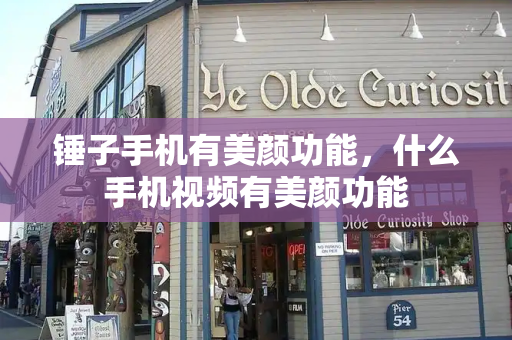 锤子手机有美颜功能，什么手机视频有美颜功能-第1张图片-星选测评