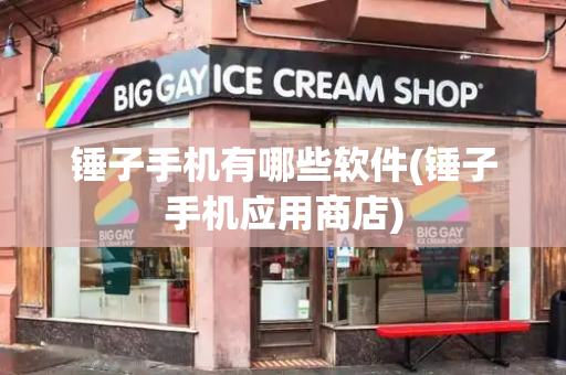锤子手机有哪些软件(锤子手机应用商店)-第1张图片-星选测评