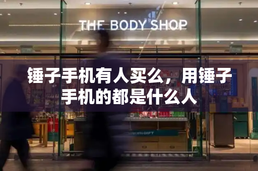 锤子手机有人买么，用锤子手机的都是什么人