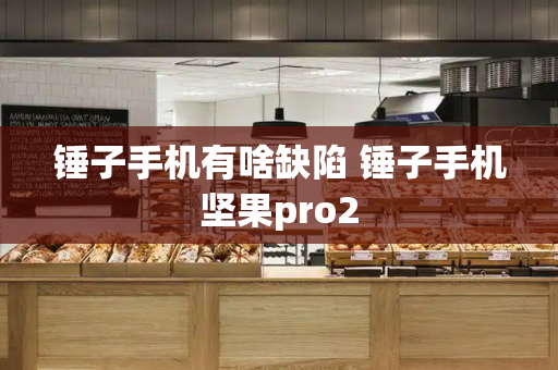 锤子手机有啥缺陷 锤子手机坚果pro2