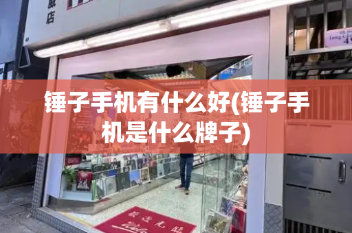 锤子手机有什么好(锤子手机是什么牌子)-第1张图片-星选测评
