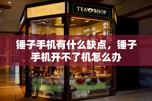 锤子手机有什么缺点，锤子手机开不了机怎么办-第1张图片-星选测评