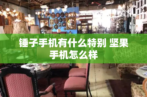 锤子手机有什么特别 坚果手机怎么样-第1张图片-星选测评