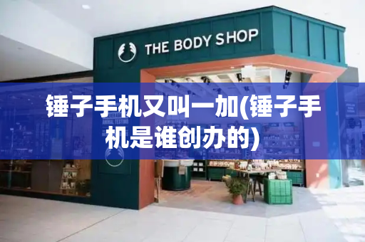 锤子手机又叫一加(锤子手机是谁创办的)-第1张图片-星选测评