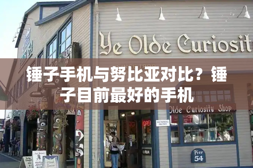 锤子手机与努比亚对比？锤子目前最好的手机-第1张图片-星选测评