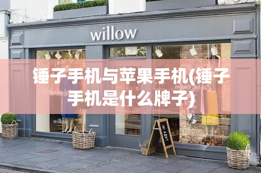锤子手机与苹果手机(锤子手机是什么牌子)-第1张图片-星选测评