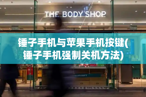 锤子手机与苹果手机按键(锤子手机强制关机方法)-第1张图片-星选测评