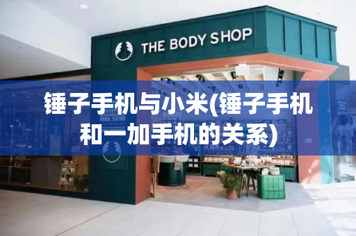 锤子手机与小米(锤子手机和一加手机的关系)-第1张图片-星选测评