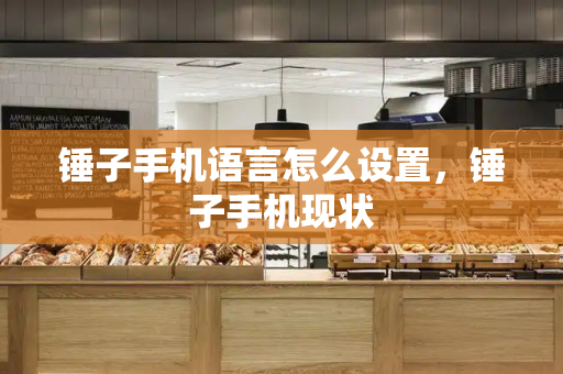 锤子手机语言怎么设置，锤子手机现状-第1张图片-星选测评