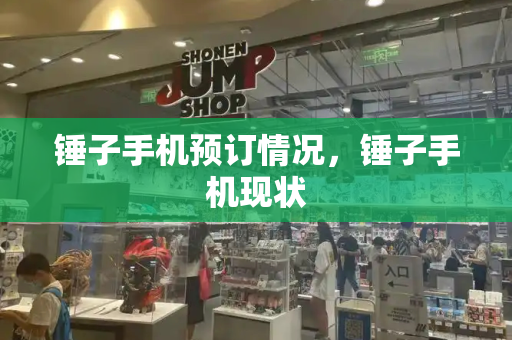 锤子手机预订情况，锤子手机现状-第1张图片-星选测评