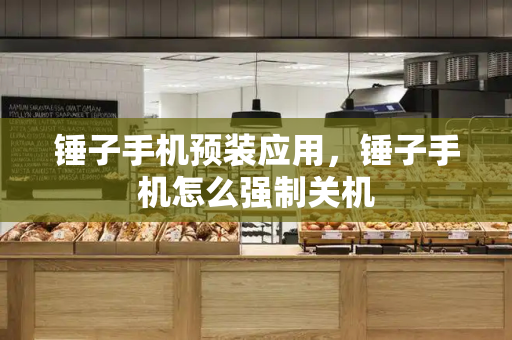 锤子手机预装应用，锤子手机怎么强制关机