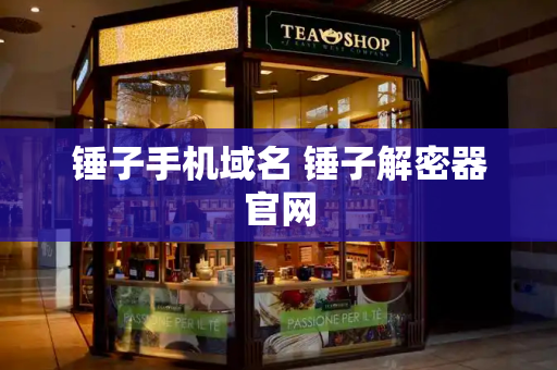 锤子手机域名 锤子解密器官网-第1张图片-星选测评