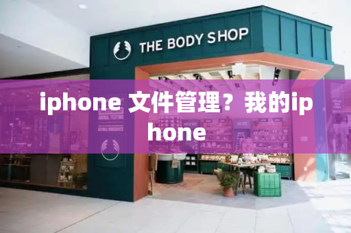 iphone 文件管理？我的iphone