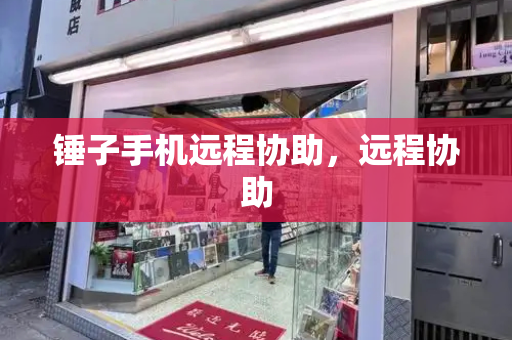 锤子手机远程协助，远程协助