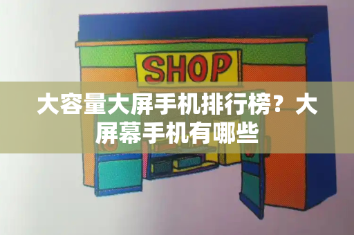 大容量大屏手机排行榜？大屏幕手机有哪些