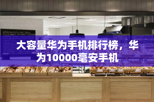 大容量华为手机排行榜，华为10000毫安手机