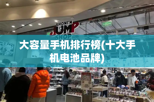 大容量手机排行榜(十大手机电池品牌)