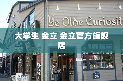 大学生 金立 金立官方旗舰店