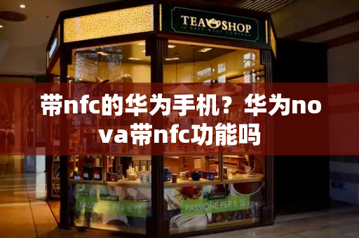 带nfc的华为手机？华为nova带nfc功能吗-第1张图片-星选测评